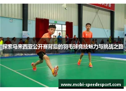 探索马来西亚公开赛背后的羽毛球竞技魅力与挑战之路