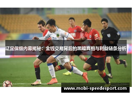 辽足保级内幕揭秘：金钱交易背后的黑暗真相与利益链条分析