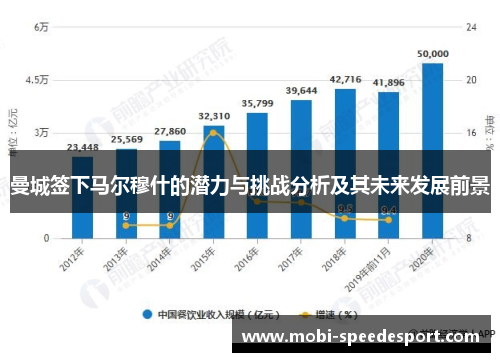 曼城签下马尔穆什的潜力与挑战分析及其未来发展前景