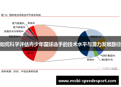 如何科学评估青少年国球选手的技术水平与潜力发展路径
