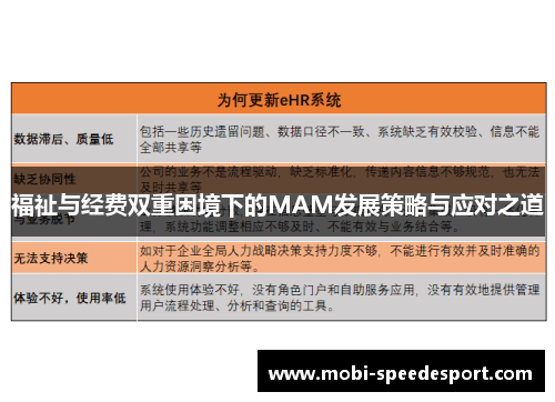 福祉与经费双重困境下的MAM发展策略与应对之道