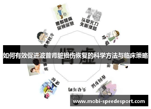 如何有效促进波普肾脏损伤恢复的科学方法与临床策略
