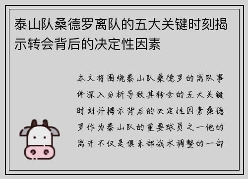 泰山队桑德罗离队的五大关键时刻揭示转会背后的决定性因素