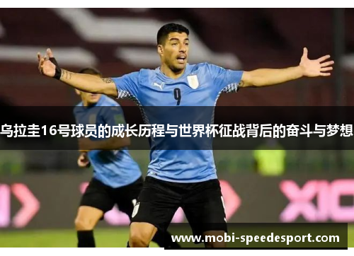 乌拉圭16号球员的成长历程与世界杯征战背后的奋斗与梦想