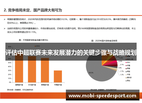 评估中超联赛未来发展潜力的关键步骤与战略规划