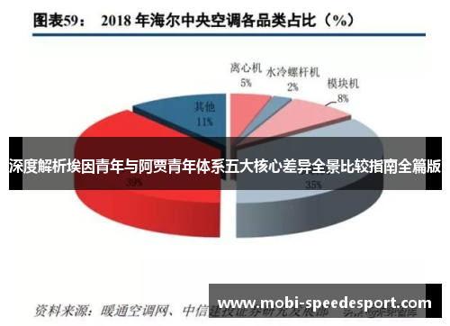 深度解析埃因青年与阿贾青年体系五大核心差异全景比较指南全篇版 深度解析埃因青年与阿贾青年体系五大核心差异全景比较指南全篇版