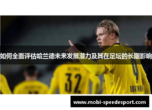 如何全面评估哈兰德未来发展潜力及其在足坛的长期影响