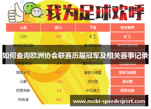 如何查询欧洲协会联赛历届冠军及相关赛事记录